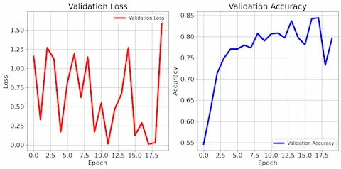 Validation Loss,Validation Accuracy